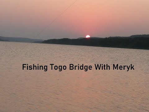 Fishing Togo Bridge With Meryk