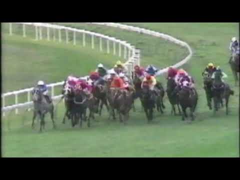 1991 Doomben Ten Thousand - Prince Trialia