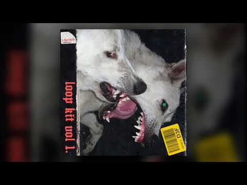 [FREE] (10+ Loops) Loop Kit "Forest" Dark Sample Pack - Pyrex Whippa, Cubeatz, Doe Boy, Southside