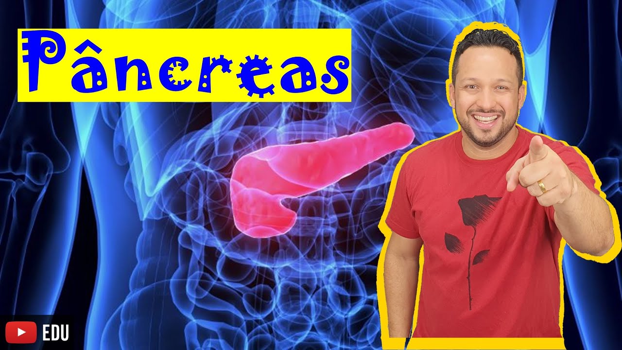 Pâncreas - Hormônios (Insulina e Glucagon) e Funções - Sistema Endócrino - Aula 7