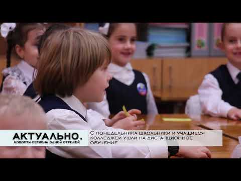 Актуально Псков / 16.12.2020