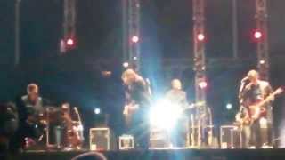 The Common Linnets - As if only