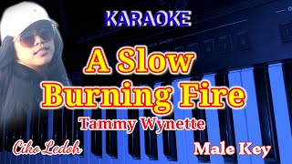 A SLOW BURNING FIRE_Tammy Wynette_Male Key_Karaoke