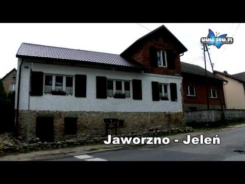 Tłumy przed wejściem do „Doomu Strachu”