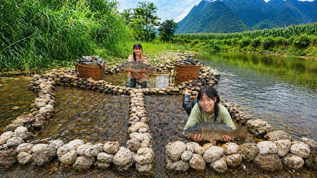 Two sisters built a dam in the middle of the stream, set up a fish trap, and harvested a huge carp.