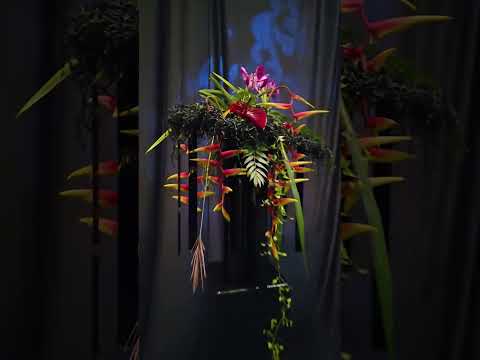International Master Florist Demonstration - Results - Singapore Garden Festival 2025