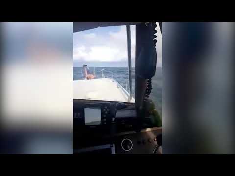 Uzvilkt "zaļo" jeb kas uzdzina uz sēkļa jahtu Sampo