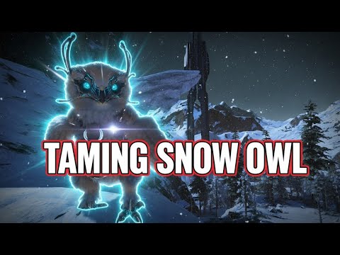 How To Tame Snow Owl | Basic Of Ark | Gravitybeing I GB 