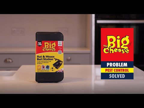 The Big Cheese Rat & Mouse Bait Station STV179 (stvuk)