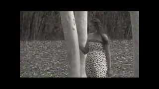 Glass Parade by The Cary Brothers