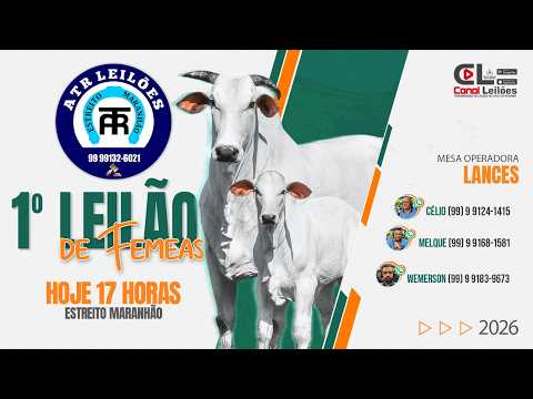 1° LEILÃO DE FÊMEAS DO ATR LEILÕES | ESTREITO-MA -  03/03/2026