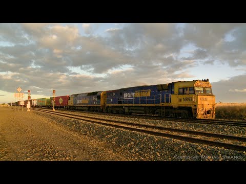 5MA5 Freight Train Crosses Grain Train (25/3/2021) - PoathTV Australian Railways