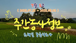 ✨주간농사정보 ] 7월 5째주 (2025. 07. 28. ~ 08. 03)