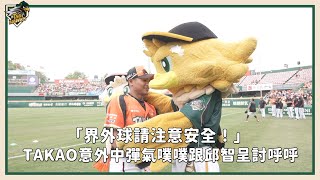 [分享] 柳條討呼呼