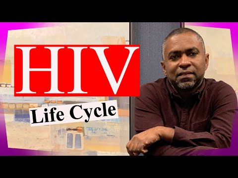HIV LifeCycle