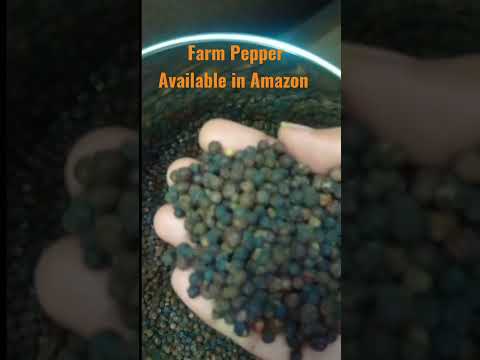Organic black pepper, packaging size: 100g