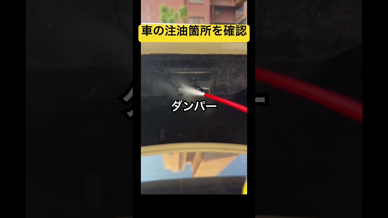 たまにはメンテナンスしなよ　#shorts