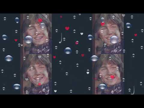 DAVID CASSIDY TRIBUTE-WALKING IN THE RAIN