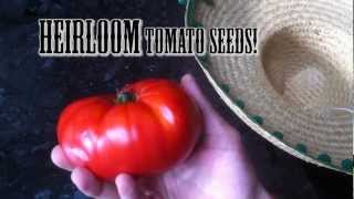 Old Growth Oak Contest- Winners Video: Free HEIRLOOM Seeds!