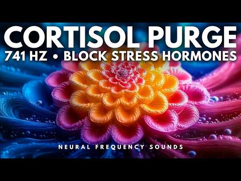 741 Hz 🧘‍♂️ Neuro-Frequency Detox – Purge Cortisol & Reset Emotional Balance | Meditation Music
