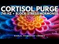 741 Hz ‍ ️ Neuro Frequency Detox Purge Cortisol Reset Emotional Balance Meditation Music