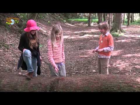 Die Hasenschnüffler