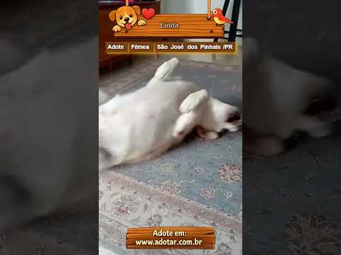 Vídeo de Linda