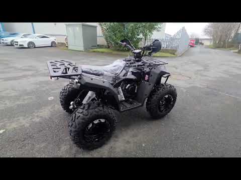 COMMANDER 200 Quad Work/Play/ Delivery/Easypay - Image 2