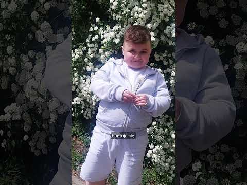 Obrazek poglądowy filmu YouTube