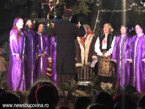 Bursuceni, decembrie 2011