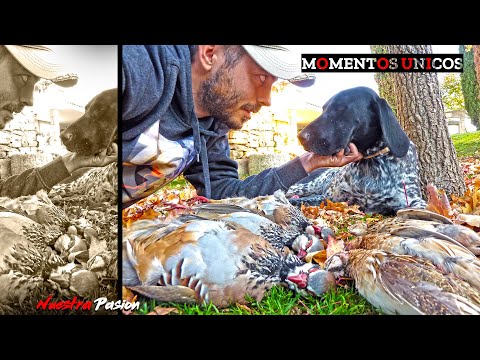 𝗘𝘀 𝗹𝗼 𝗾𝘂𝗲 𝗻𝗼𝘀 𝗵𝗮𝗰𝗲 𝘀𝗲𝗻𝘁𝗶𝗿 𝗹𝗶𝗯𝗿𝗲𝘀 💥 Caza Menor con Perro al Salto 2024 💥