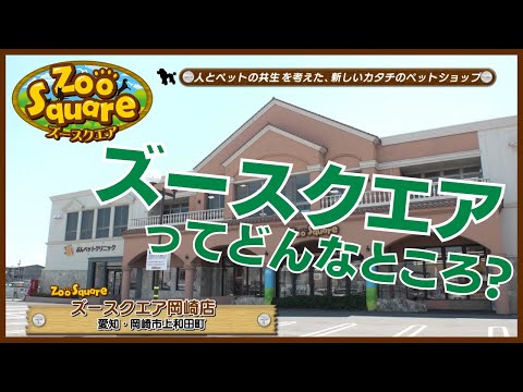 ズースクエア岡崎店ってどんなところ?