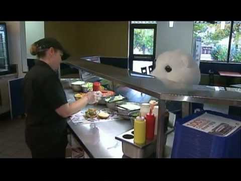 Toronto Maple Leafs & Harvey's Great Canadian Fans-Elicia