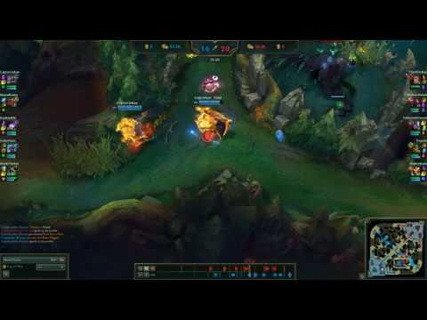 D R A G O N S L A Y E R braum