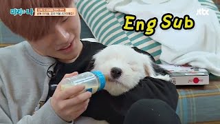 Download lagu iKON Jinhwan & Hanbin, meal time for sheepdog babies♥ mp3