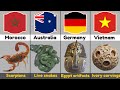 Strangest Smuggled Items By Countries Strangest Smuggled List