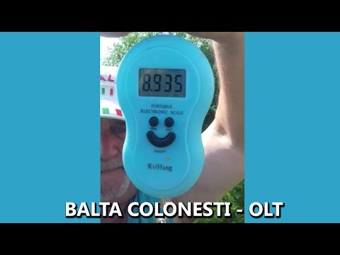 Balta Colonesti - Eliberare Crap de 9 KG - 22 Iunie 2017