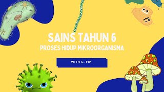 Download lagu SAINS TAHUN 6 | PROSES HIDUP MIKROORGANISMA mp3