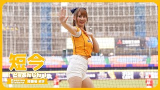 短今（Sammie）Passion Sisters 中信兄弟啦啦隊  cheerleader 치어리더 臺中洲際棒球場 2024/4/14【台湾チアTV】