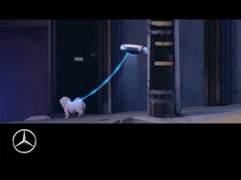 Der F 015 Luxury in Motion Spot „Dogwalker“. Happy Back to the Future Day