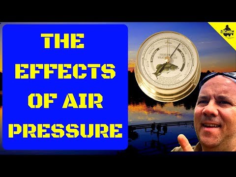 HOW DOES WEATHER AFFECT CARP FISHING ? 😀