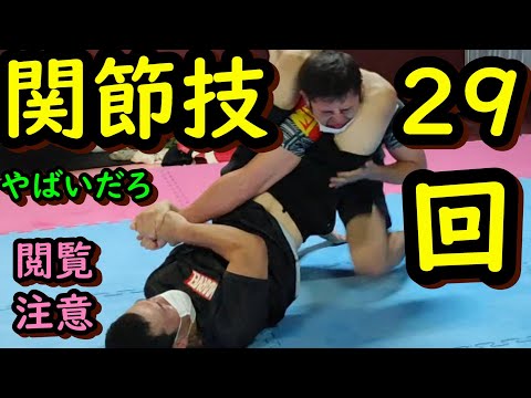 関節技29連発 サブミッション切り抜き動画 ストレス解消スッキリ