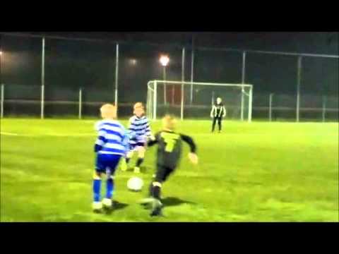 TOGB D3   XerxesDZB D1 D2   3 1