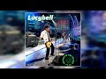 Lucybell - Mil Caminos (En vivo, Festival de Viña del Mar, 2005)