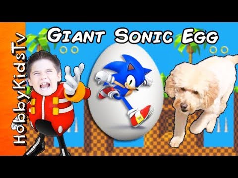 We Open a Giant SONIC Surprise Egg while HobbyDog Races Toys with HobbyKids