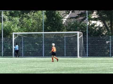 Avesteyn D1 - BVV D1 (1 - 2)