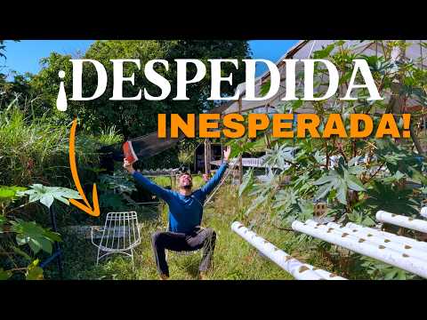 Cierra Finca Hidropónica de Cilantro - Episodio 8