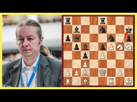 Königsangriff deluxe || Liviu-Dieter Nisipeanu vs. Alexander Predke || EM 2019