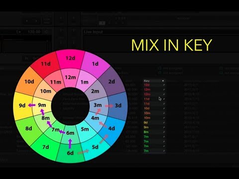 download lagu mp3 mp4 Dj Wheel, download lagu Dj Wheel gratis, unduh video klip Dj Wheel