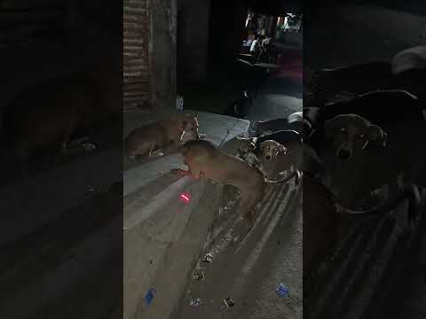 Please Subscribe Me #FarhanDabeer #Trendingreels #Viralreels #Shortsreels #Omg #Wow #Amazing